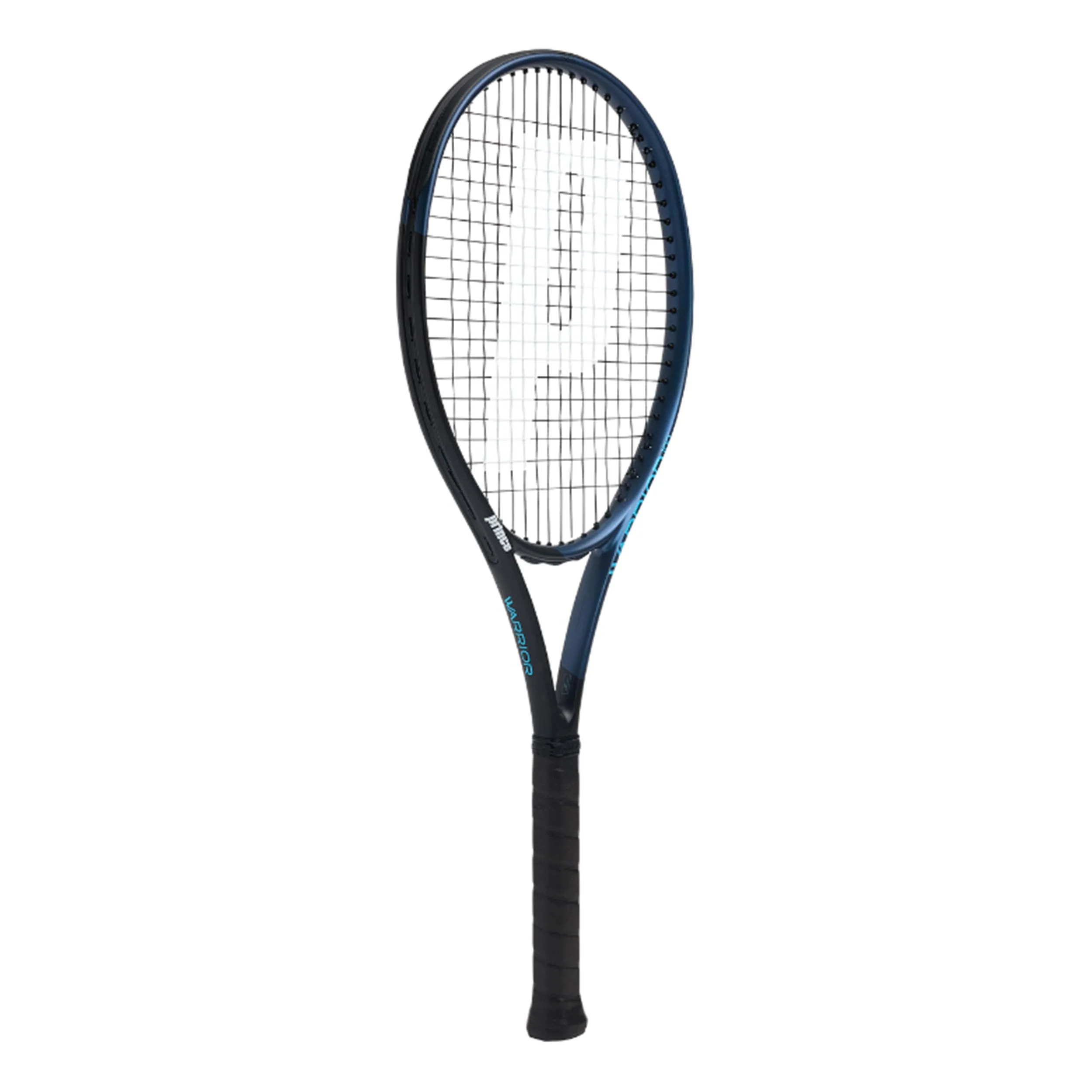 Warrior 100 - Image 2