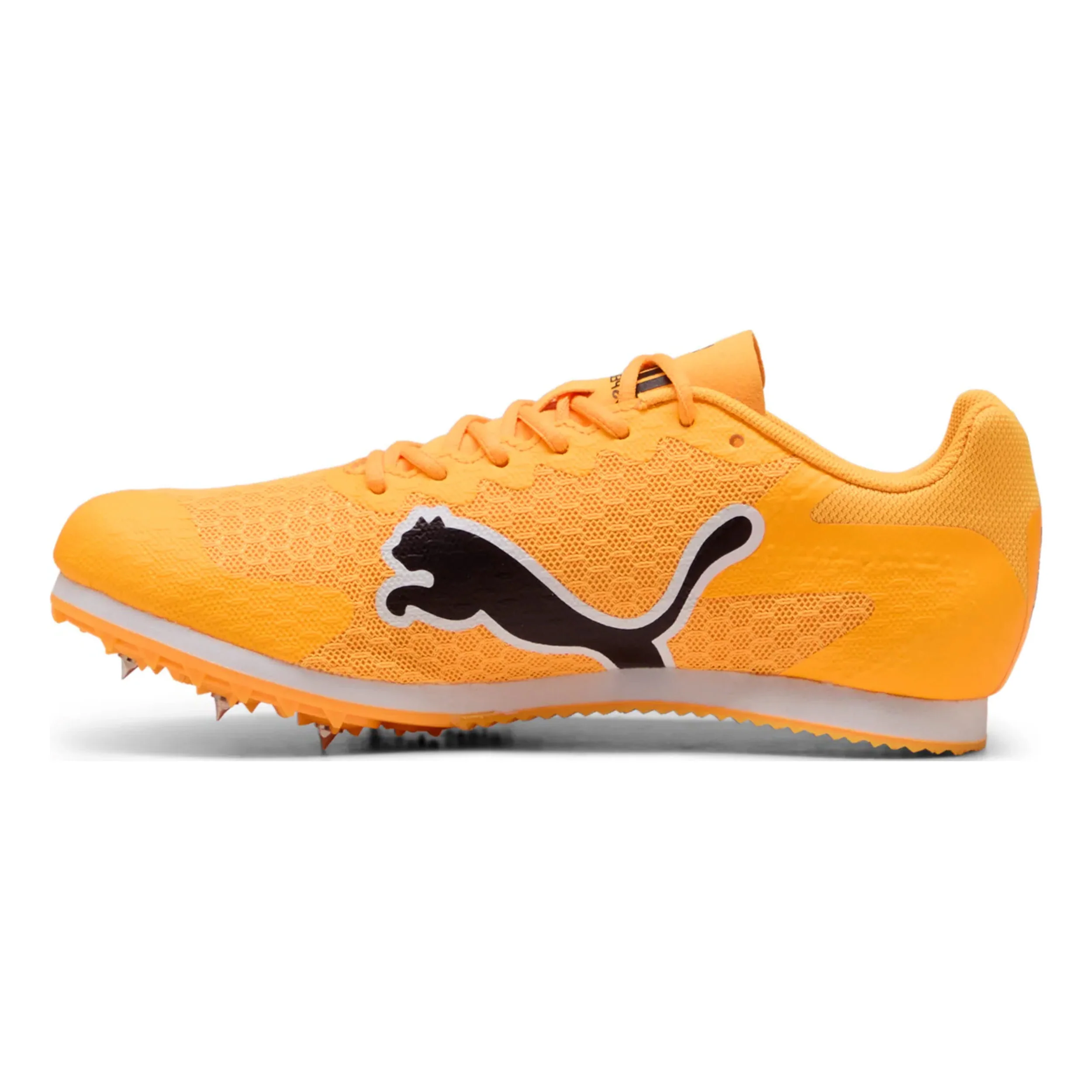evoSPEED Star 9 Spikes Kinderen - oranje, zwart - Image 2