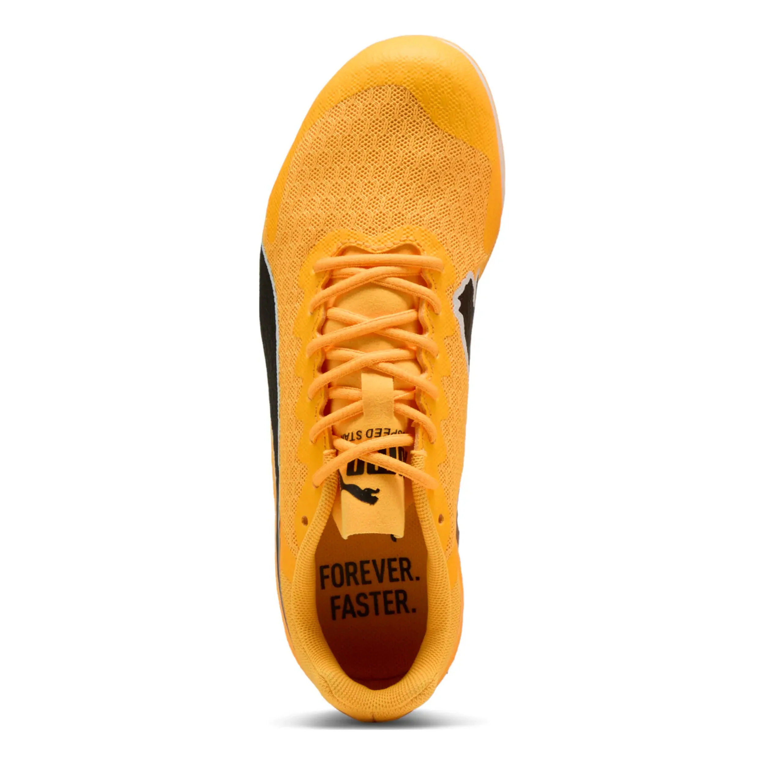 evoSPEED Star 9 Spikes Kinderen - oranje, zwart - Image 3