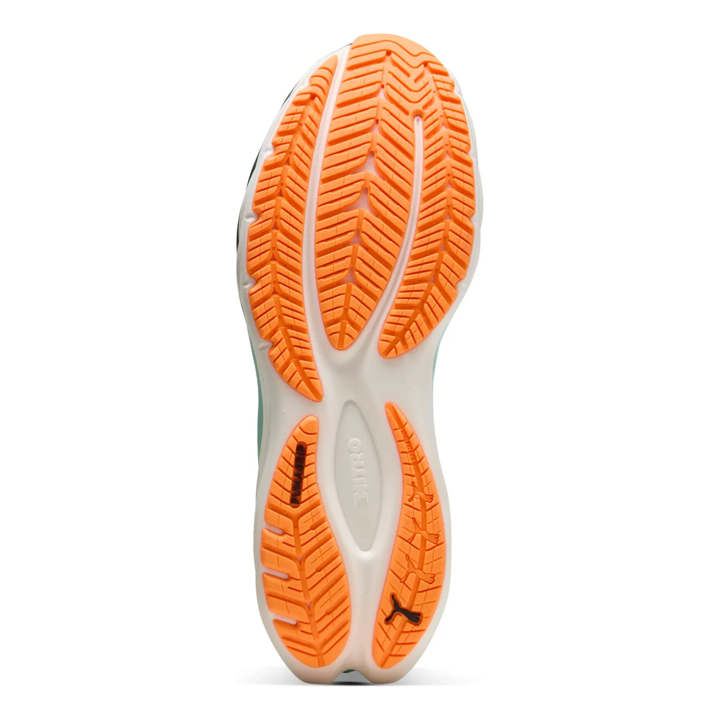 Velocity Nitro 4 Neutrale schoen Heren - groen, oranje - Image 4